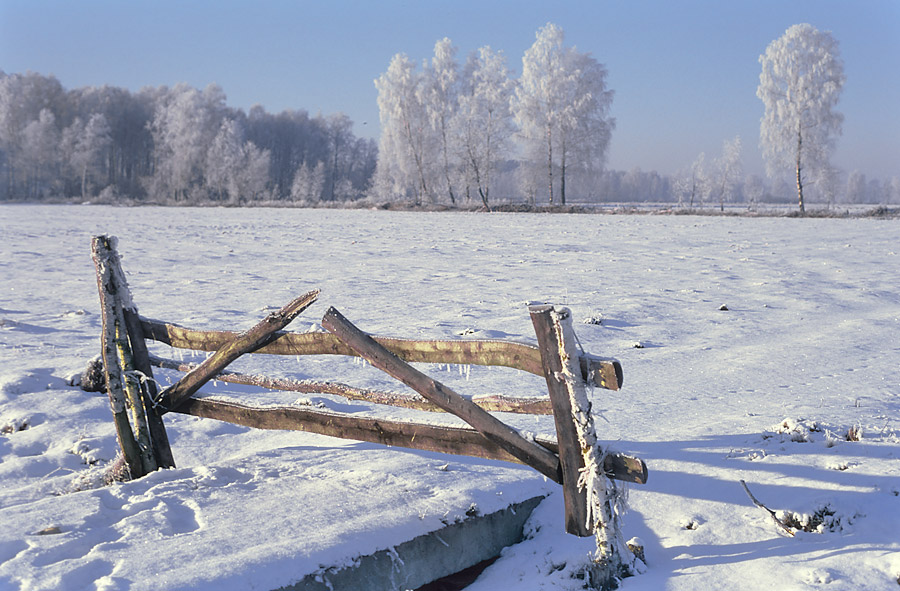 Z zimowego pleneru w Tykocinie (Szuflada...)